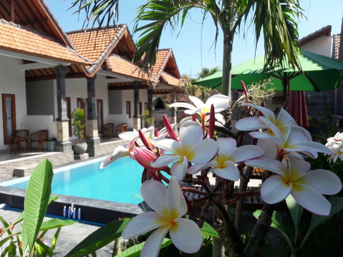Miko Bali Bungalow Toyapakeh 外观 照片